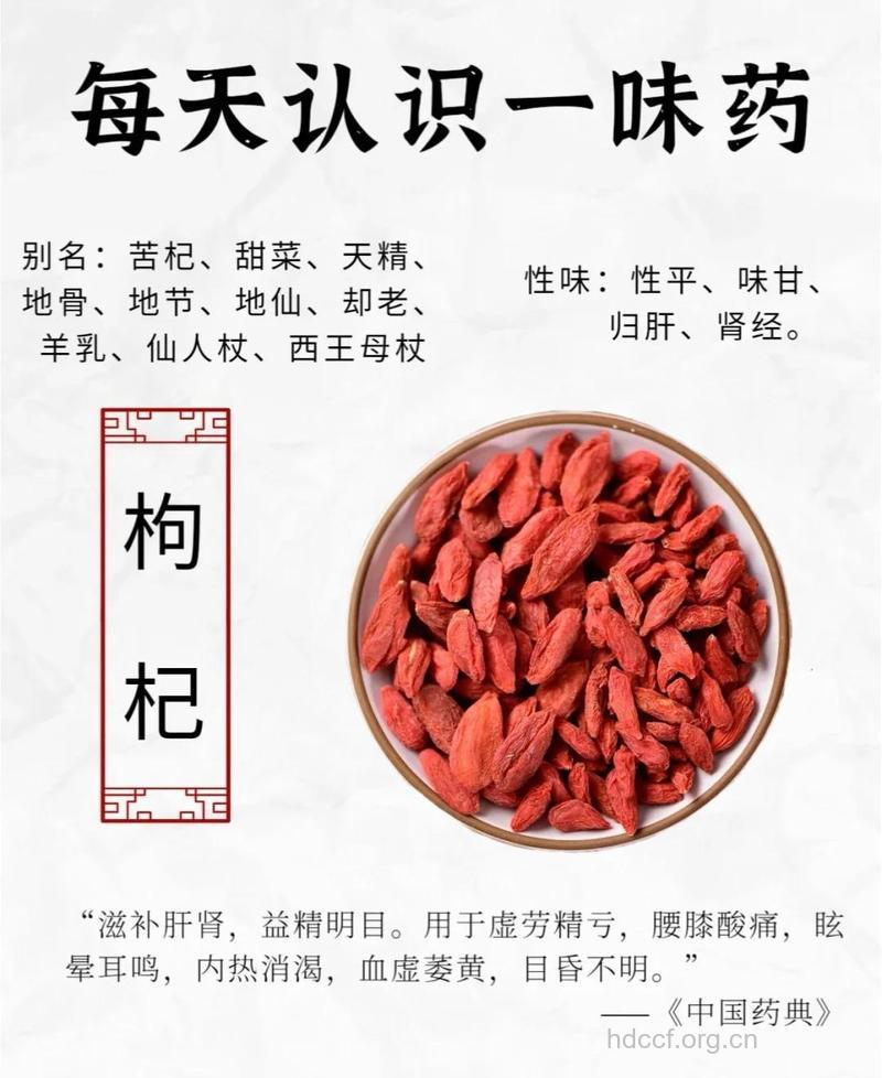 滋肝补肾壮阳――枸杞子