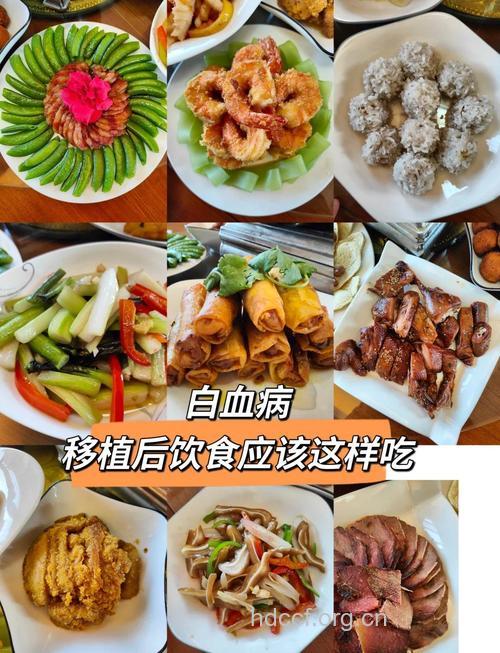 白血病治疗如何安排饮食