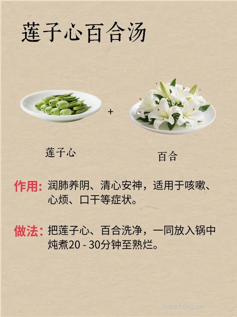 中药莲子心的3大功效