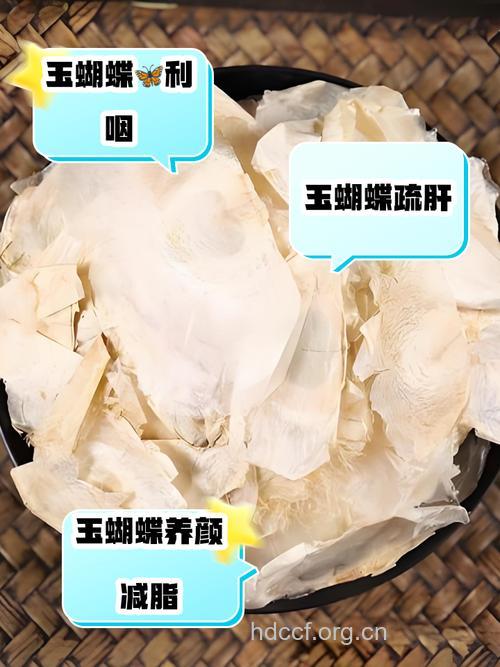 玉蝴蝶的功效与吃法