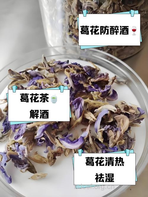 酒场中人可喝葛花茶解酒保肝