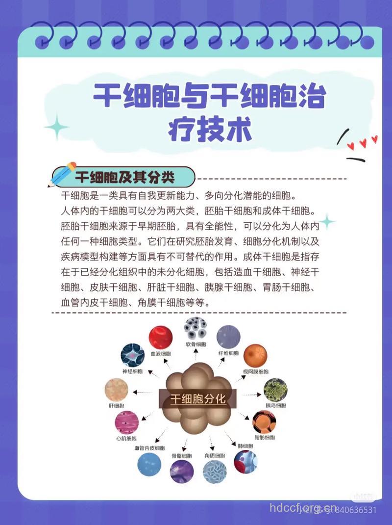 清除白血病干细胞的新方法