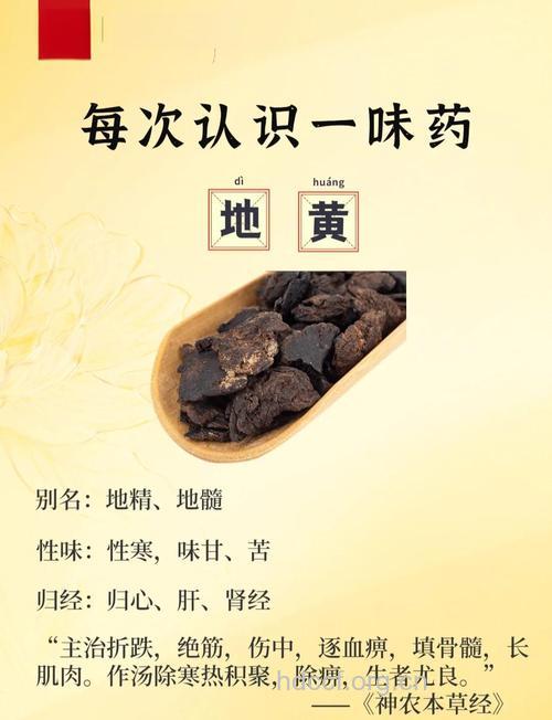 补血滋阴 熟地的功效与作用