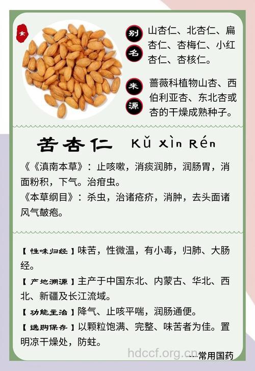 苦杏仁的功效与作用全析
