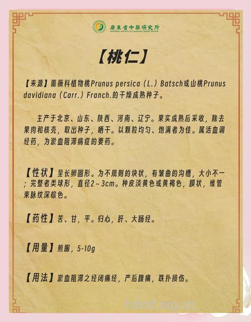 桃仁的功效与作用全析