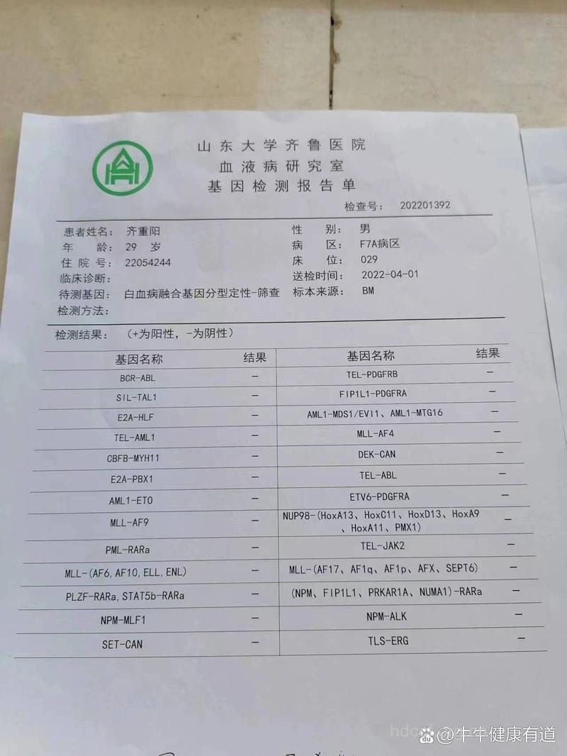 白血病的基因检测