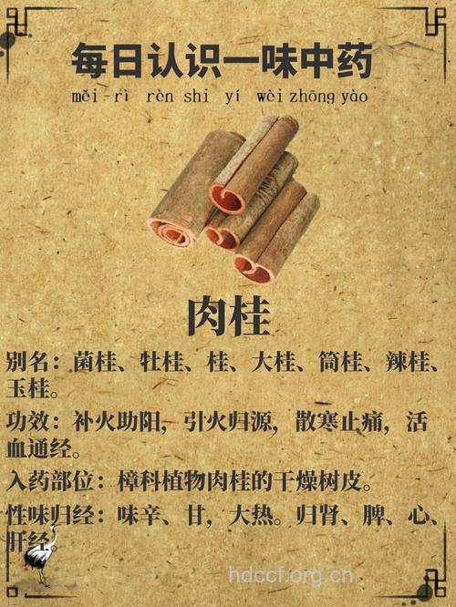 肉桂的功效与作用大全