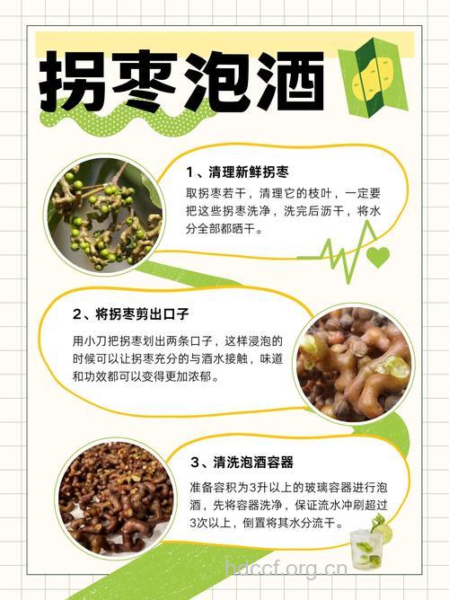 拐枣泡酒的禁忌