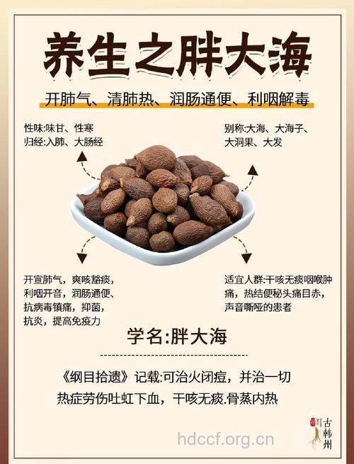胖大海的功效与副作用全析