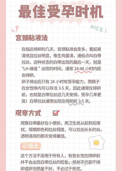 为什么要检查宫颈粘液
