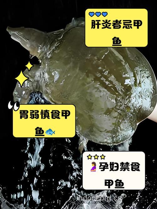 肝炎患者忌食甲鱼