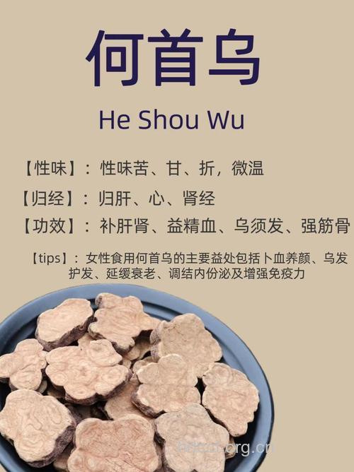 首乌的功效与作用全析