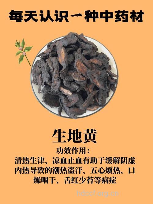 生地的功效和作用大全