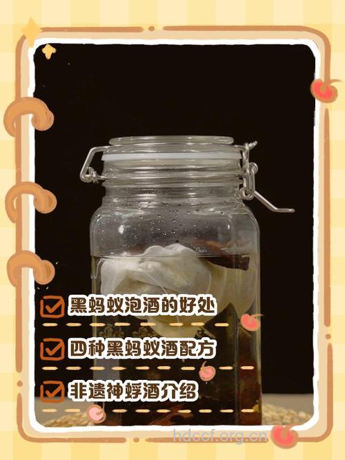 黑蚂蚁泡酒的禁忌