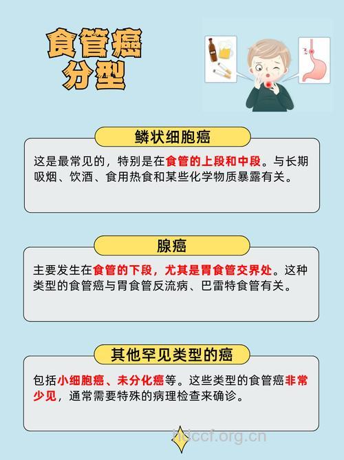 食道癌的高危人群类型有哪些