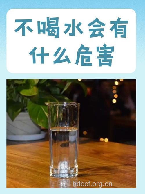 水喝错了健康不保 盘点5种不能喝的水