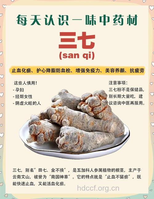 三七吃的好 远离胃病没烦恼