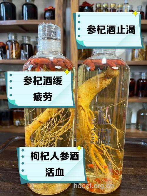 人参泡酒的功效