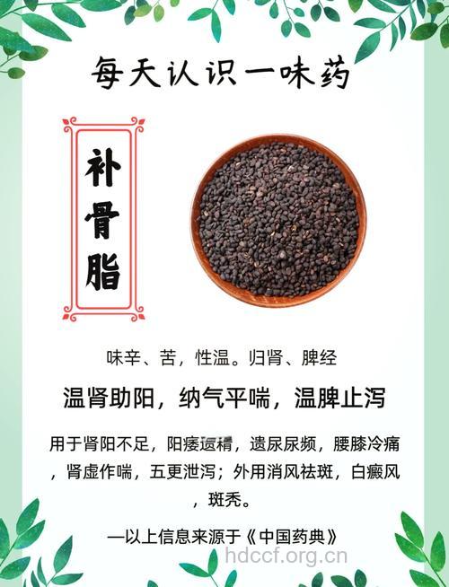 补骨脂泡酒的功效