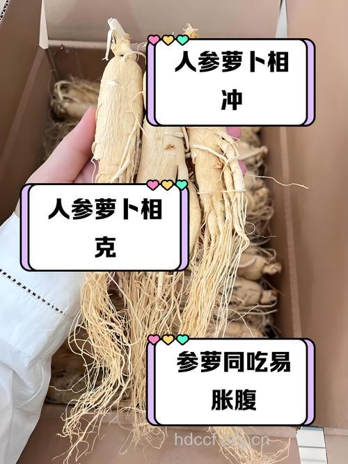 对于这六类人人参不如萝卜