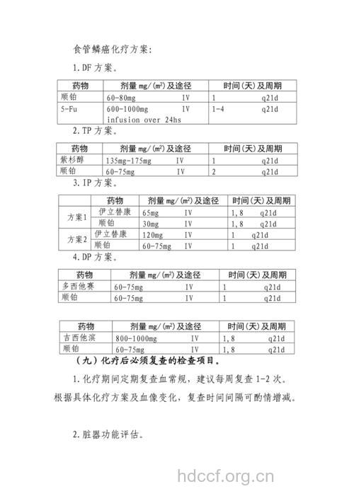 常见肿瘤食道癌的化疗方案