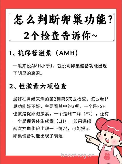 卵巢功能检查注意事项