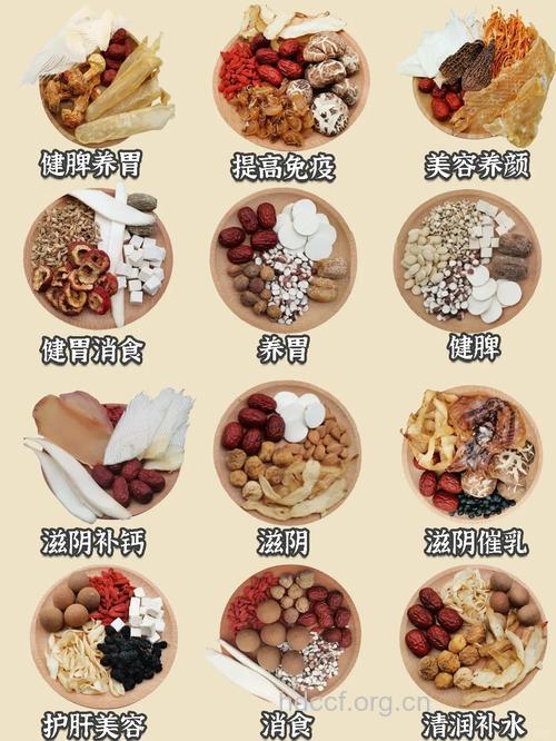 适合秋季煲汤中药材有哪些