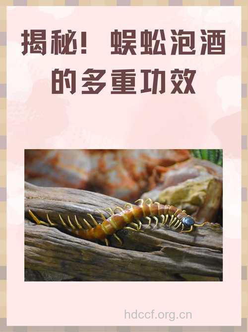 蜈蚣泡酒喝的禁忌