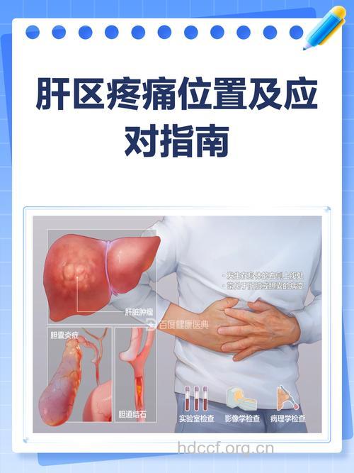 肝区隐痛到底是为什么?