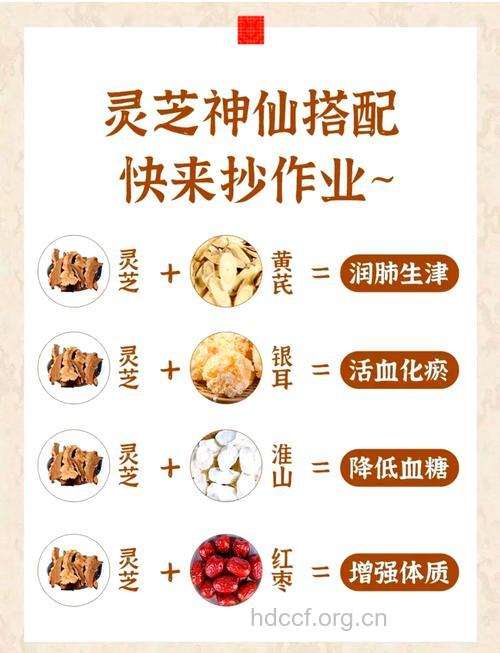 灵芝片怎么吃效果好