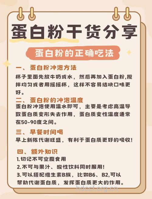 蛋白质粉怎么吃效果好