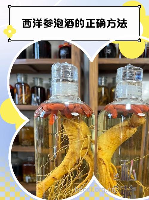 海参泡酒的功效