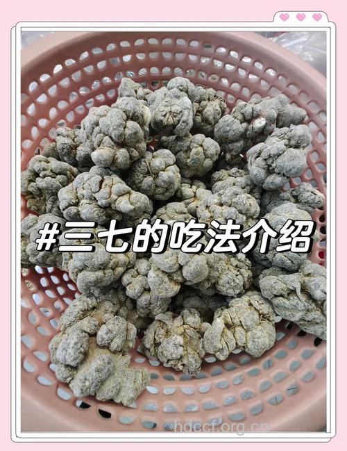 三七粉怎么吃效果好