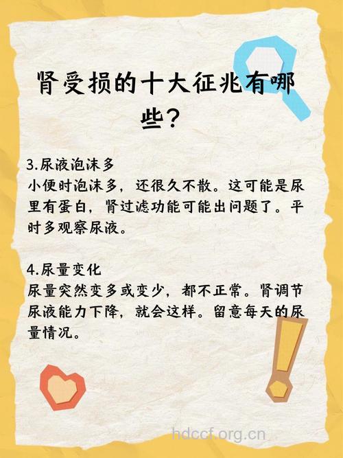 如何判断肾功能受损 注意6大征兆