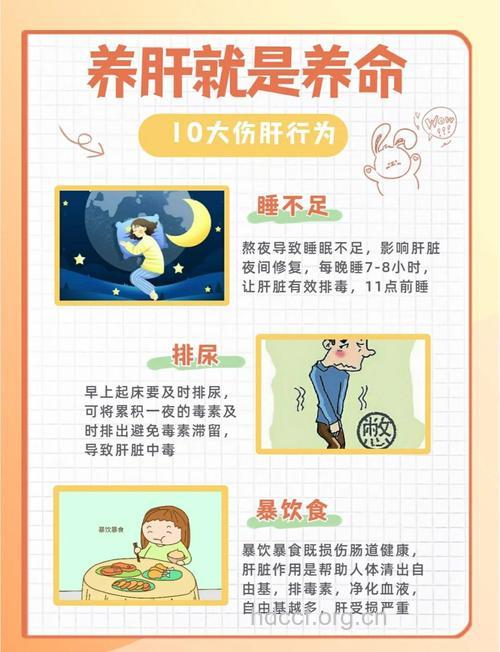 预防肝病千万戒掉8个坏习惯