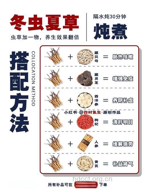 冬虫夏草怎么吃效果好