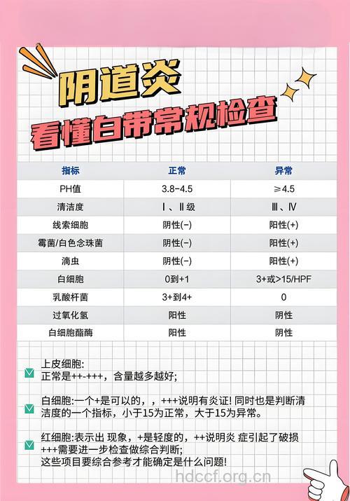 白带异常要做的体检项目