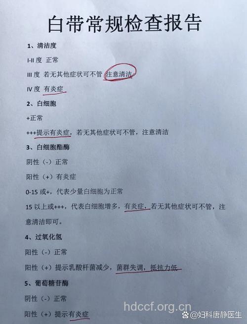 有关白带的5个检查项目