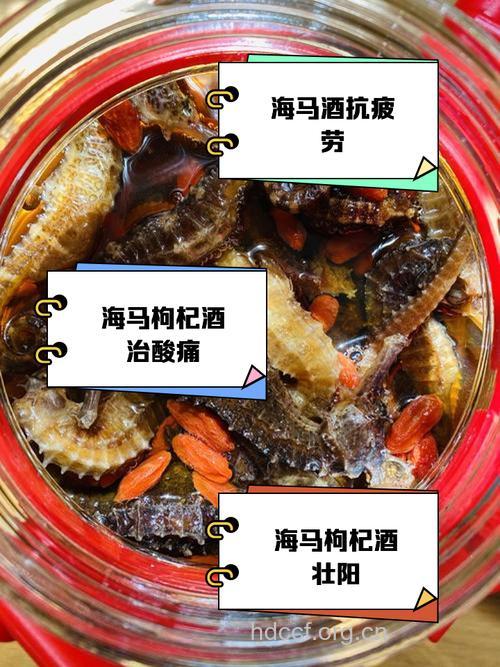 海马泡酒的功效 补肾抗衰老