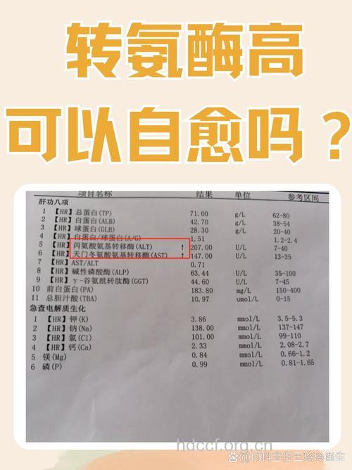 乙肝:转氨酶轻度升高该不该抗病毒