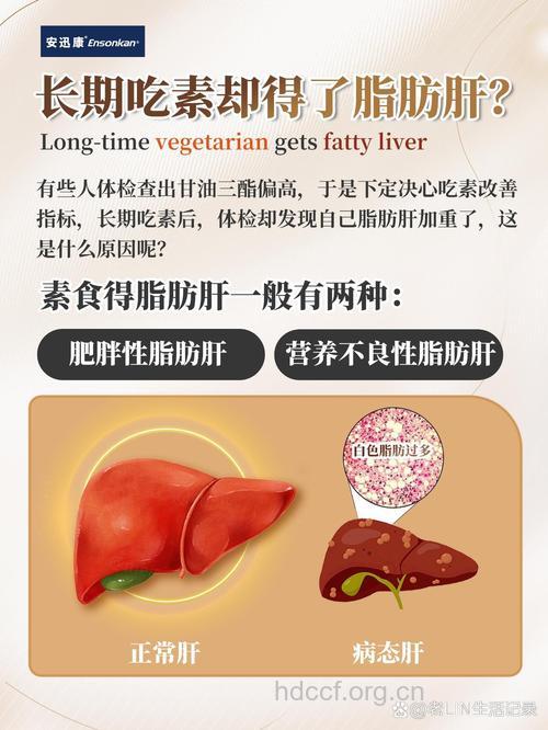 节食过度也会得脂肪肝