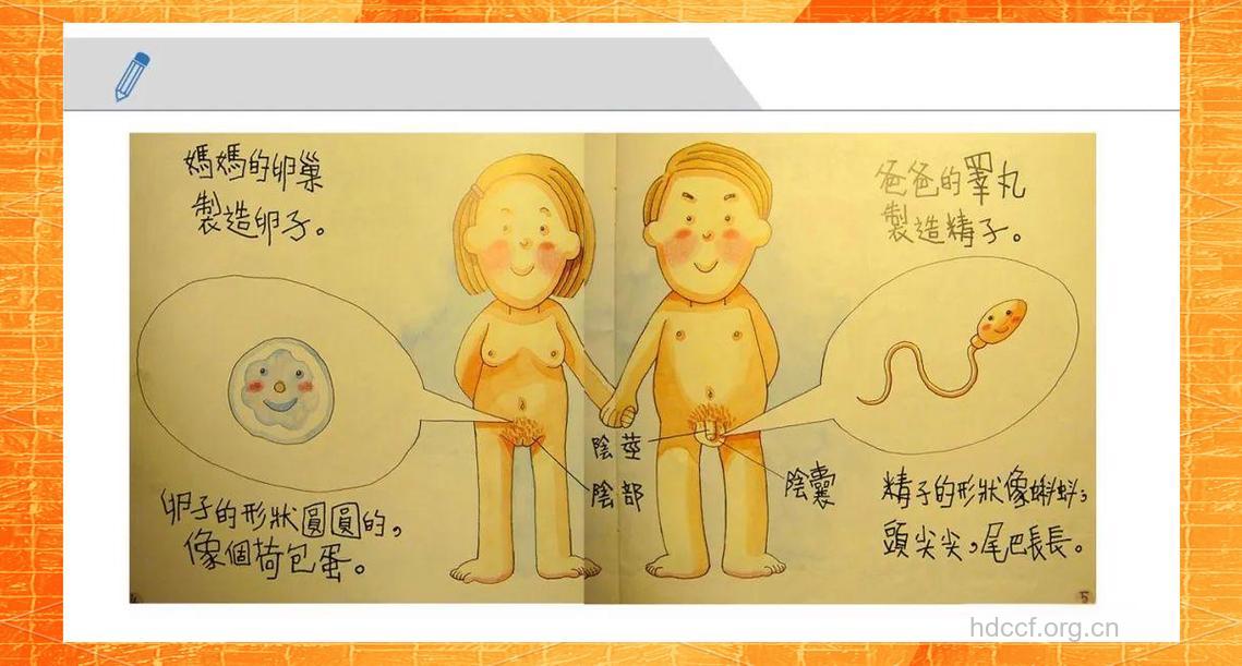 私密：解读男人的“小兄弟”