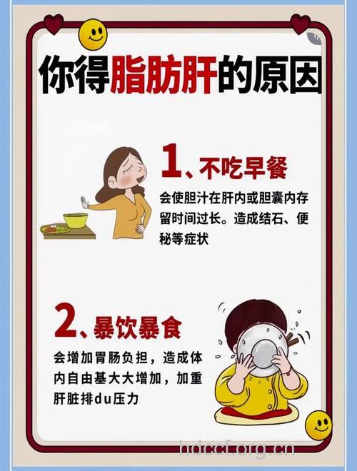 脂肪肝的由来 敲响你的警钟
