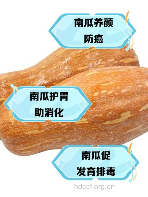 南瓜的功效 南瓜可以治7种病