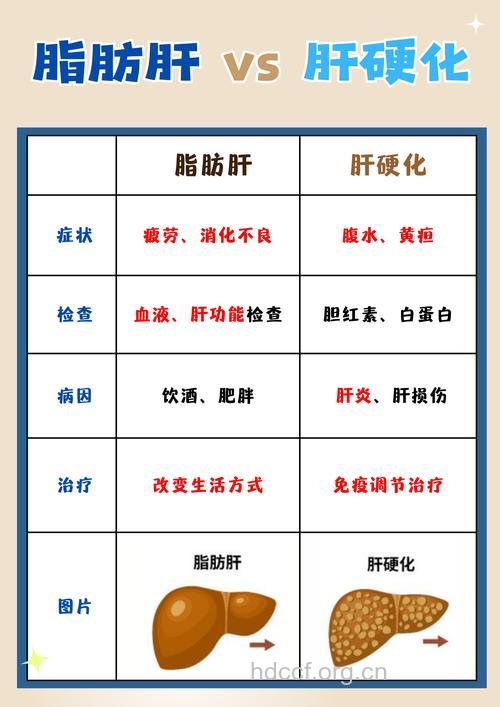脂肪肝和其他肝病的鉴别方法