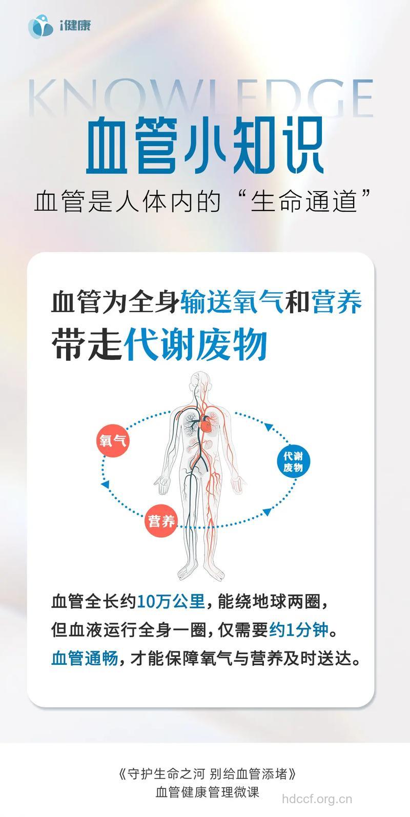 4种元素让血管保持年轻