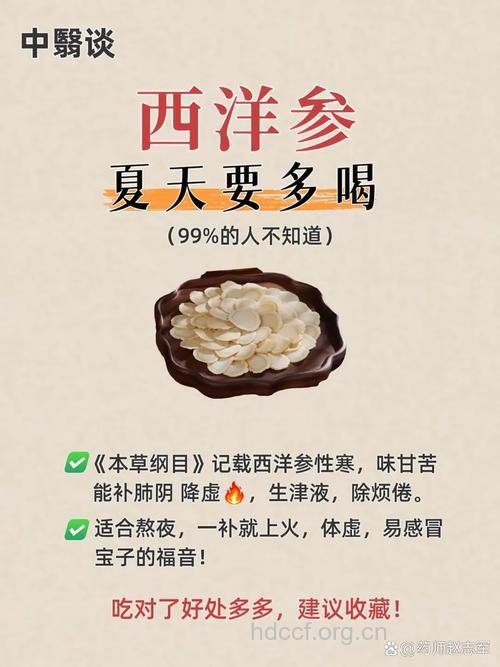 西洋参清热生津适合夏天吃