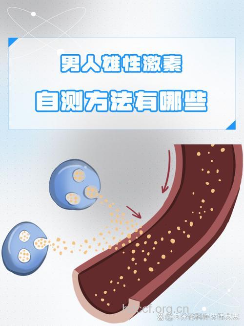 男性的性激素一生都需要