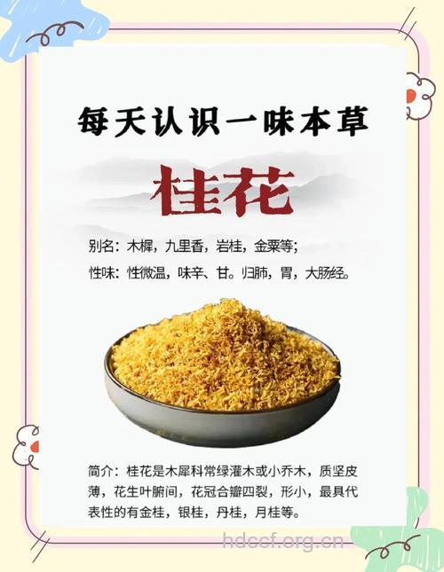 桂花的治病功效及食疗方