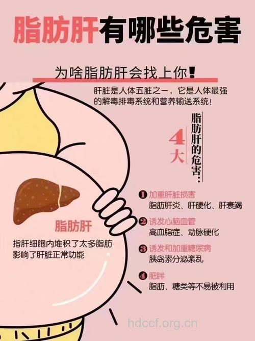 女性脂肪肝的危害有哪些